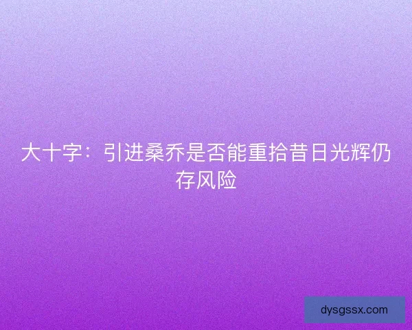 大十字：引进桑乔是否能重拾昔日光辉仍存风险