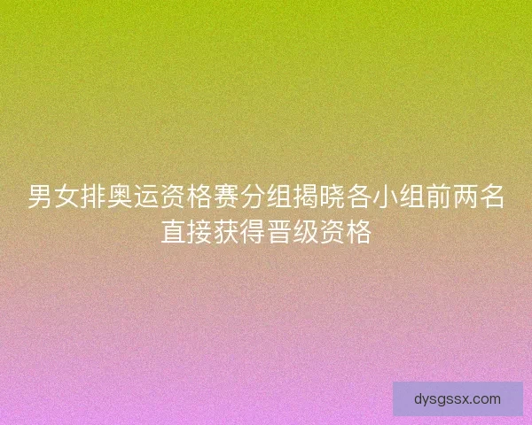 男女排奥运资格赛分组揭晓各小组前两名直接获得晋级资格
